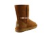Женские короткие угги Classic Short Chestnut