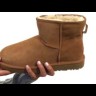 Женские мини угги Classic Mini Chestnut