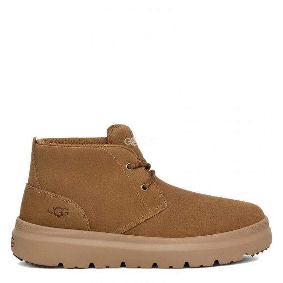 Мужские ботинки Ugg Mens Burleigh Chukka Chestnut
